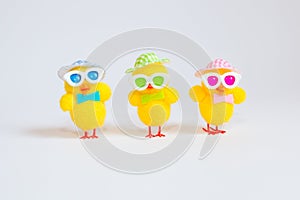 Funny chicks on white background