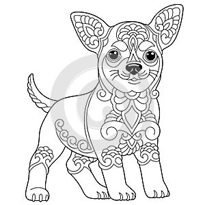 Funny chihuahua dog coloring page