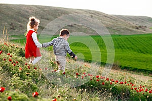 Funny children are walking in nature.