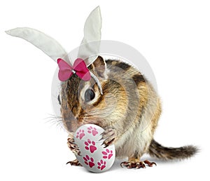 Funny chipmunk with bunny ears and easter egg