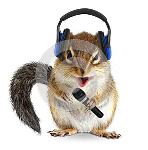 Funny chipmunk dj with headphone and microphone on white