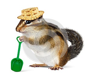 Funny chipmunk with straw hat and shovel