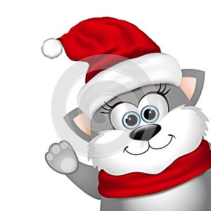 Funny Christmas cat on a white background