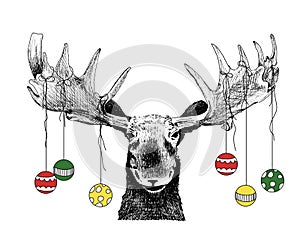 Funny Christmas Moose with ornaments photo