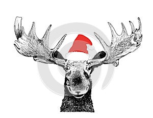 Funny Christmas Moose with Santa Claus hat