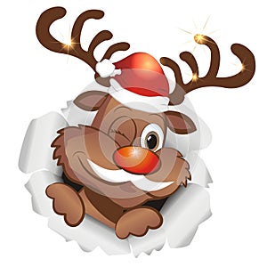 Funny christmas reindeer