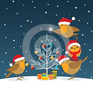 Funny Christmas Robins