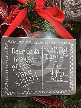 Funny Christmas signs to Santa Take Sister