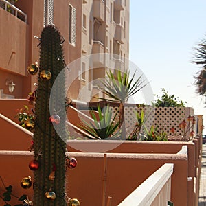 Funny Christmas tree for hot countries in a front yard of an apartment building