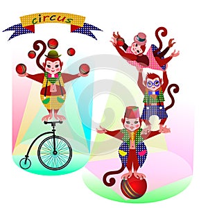 Funny circus Monkey