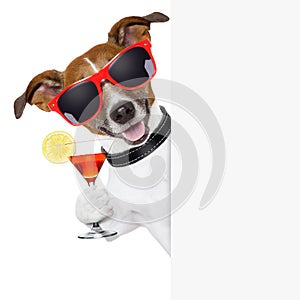 Funny cocktail dog