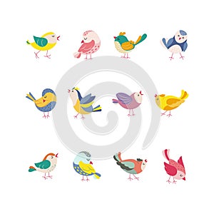 Funny colored birds in different poses set. Exotic birds collection. Vector illustration in flat style