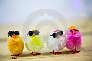 Funny colorful chicks