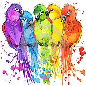 Funny colorful parrots with watercolor splash textured photo