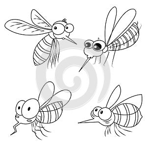 Funny Colorless Mosquitoes