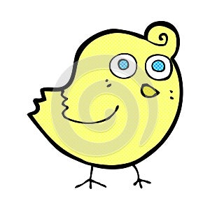 funny comic cartoon bird