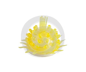 Funny condom with barbs