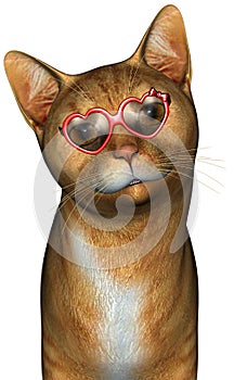 Funny Cool Cat Illustration Isolated