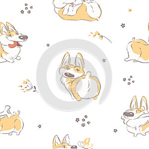 Funny Corgi Welsh Dog and Flowers seamless pattern on a white. Cartoon hand drawn vector illustration. Can be used for t