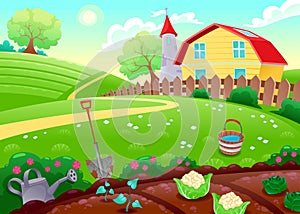 Funny countryside scenery with vegetable garden