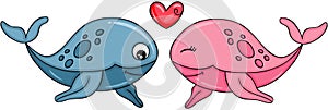 Funny couple of whales with heart