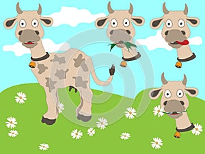 Funny cow with interchangeable heads