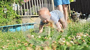 Funny Crawling Baby Toddler Boy On Backyard Lawn Grass. Baby and Dad in the Garden Summer Time. Family Time enjoing