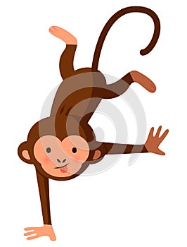 Funny crazy monkey