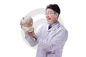 Funny crazy professor paleontologyst studying animal skeletons i