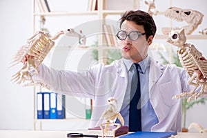 The funny crazy professor studying animal skeletons