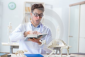 The funny crazy student doctor studying animal skeleton
