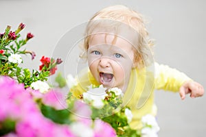 Funny curly hair toddler girl smelling red flowers at the spring or summer day