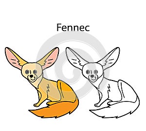 Funny cute animal fennec isolated on white background. Linear, contour, black and white and colored version. Illustration can be