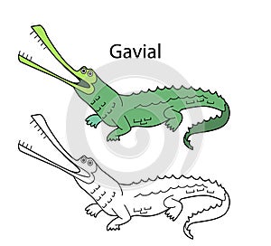 Funny cute animal gavial isolated on white background. Linear, contour, black and white and colored version. Illustration can be