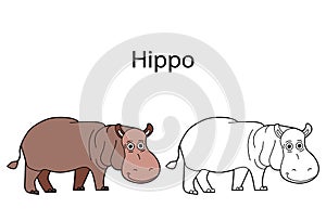 Funny cute animal hippo isolated on white background. Linear, contour, black and white and colored version. Illustration can be