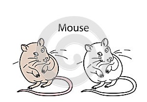 Funny cute animal mouse isolated on white background. Linear, contour, black and white and colored version of pet. Illustration