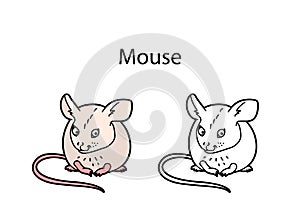 Funny cute animal mouse isolated on white background. Linear, contour, black and white and colored version of pet. Illustration