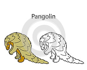 Funny cute animal pangolin isolated on white background. Linear, contour, black and white and colored version. Illustration can be