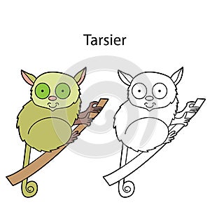 Funny cute animal tarsier  isolated on white background. Linear, contour, black and white and colored version. Illustration can be