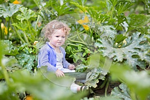 Funny cute baby girl on farm in zucchini field