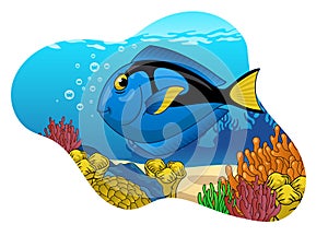 Funny Cute Blue Tang Fish Swiming in the Coral Reef