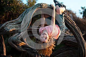 Funny cute boy hanging from branch of tree. Summer time.