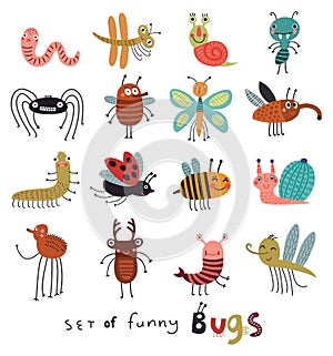 Funny and cute insects