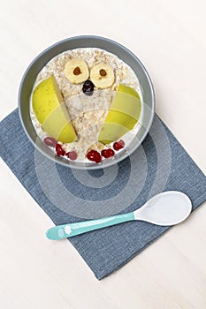 Funny cute kids childrens babys breakfast lunch oatmeal porridge in bowl look like owl decoration with apple, banana, dried berry