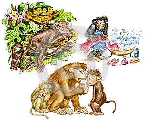 Funny cute monkeys
