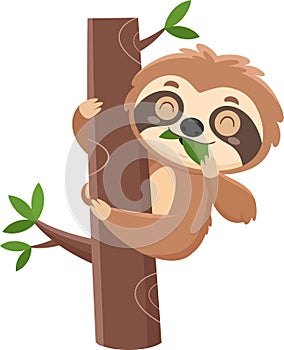 Funny Cute Sloth Cartoon Character Eating A Leaf
