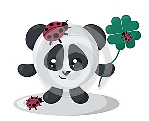 Funny cute smiling panda with round body and ladybugs holding four leaf good luck clover in flat design with shadows.
