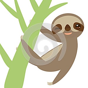 Funny and cute smiling Three-toed sloth on green branch