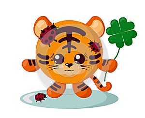 Funny cute smiling tiger with round body and ladybugs holding four-leaf good luck clover