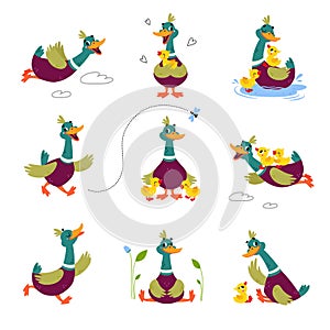 Funny Dabbling Duck Character Engaged in Different Activity Vector Set